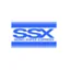 Sinostar Express logo