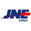 Newegg Express logo
