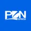 PDN EXPRESS logo