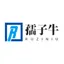 RZ logo