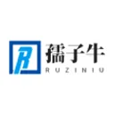 RZ logo
