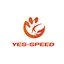 Yes-speed logo